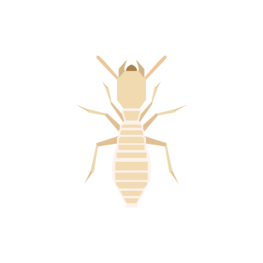 Protex Pest Control 8603714575 Serving Vernon, Hartford, and the